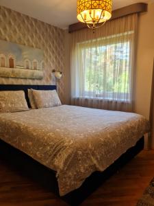 Taikos hill apartament