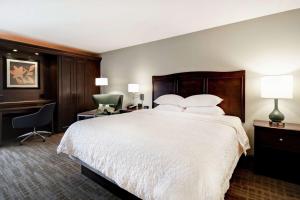 King Room with King Bed - Non-Smoking room in Hampton Inn Overland Park