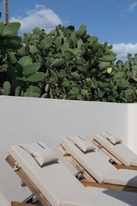 Villa Methexis