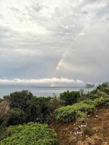 Breathtaking Oceanfront View Home & Private Beach