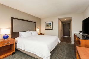 King Room with Tub - Mobility Access/Non-Smoking room in Hampton Inn Manassas