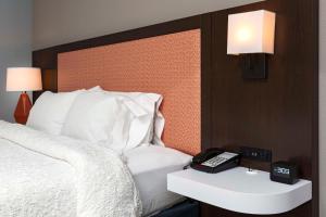 King Room with King Bed - Non-Smoking room in Hampton Inn Greenville
