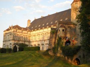 B&B / Chambres d'hotes Chateau de Frasne : photos des chambres