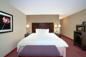 King Room with King Bed - Non-Smoking room in Hampton Inn Richmond - Airport