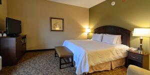 King Room with King Bed - Non-Smoking room in Hampton Inn Geneseo