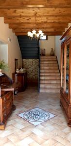 Luci nel Bosco B&B
