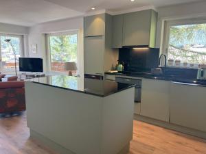 Zermatt Panoramic View Flat