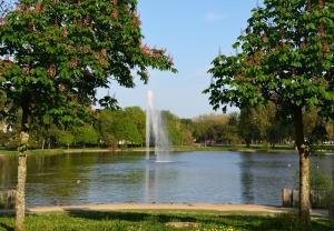 Appartements Beau T3 & jardin en centre ville - Au calme - Tout a pieds : photos des chambres