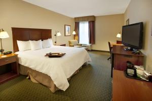 King Room - Mobility Access/Non-Smoking room in Hampton Inn Sidney