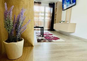 Mountain Crib in Urban Plaza w. Parking & Netflix