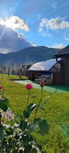 Pensiunea Agroturistica Cascada