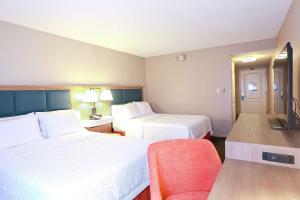 Room with Two Queen Beds - Non-Smoking room in Hampton Inn & Suites Tampa-Wesley Chapel