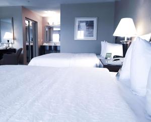 Hampton Inn & Suites by Hilton Edmonton International Airport