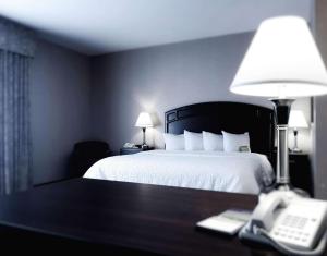 Hampton Inn & Suites by Hilton Edmonton International Airport