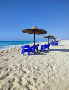 Villa Amoun ,Quiet Beachfront Villa, Alexandria Coast