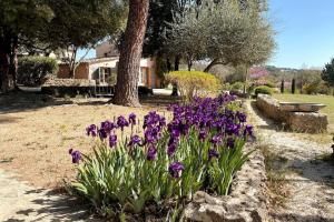 Villas Luxurious bastidon with swimming pool and jacuzzi : photos des chambres