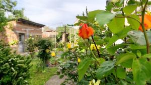 Kuća za odmor Proljeće