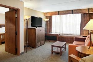 One-Bedroom King Suite with Sofa Bed - Non-Smoking room in DoubleTree by Hilton Libertyville-Mundelein