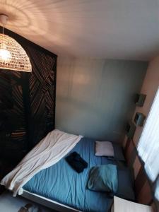 Appartements Le p'tit Cosy d'Elsa et Cedric : photos des chambres