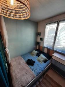 Appartements Le p'tit Cosy d'Elsa et Cedric : photos des chambres