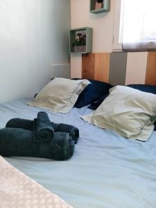 Appartements Le p'tit Cosy d'Elsa et Cedric : photos des chambres