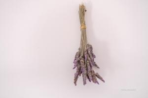 Habitación con cama extragrande y vistas al jardín