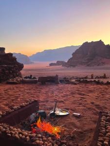Wadi Rum Best Tours