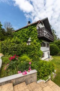 Private summer house with swimming pool, beach bar and pit for football and volleyball