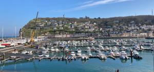 Charmant Studio avec vue sur le port et falaises