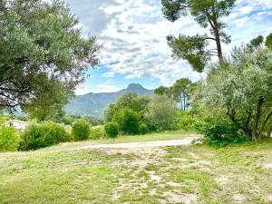 Tentes de luxe Domaine la Madeleine - Hebergement insolite : photos des chambres