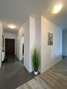 Ostseenahe Erholung Ruhe Komfort in guter Lage