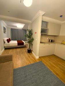 Apartamentos Colmeia