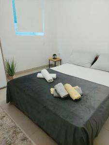Apartman CannaVis 