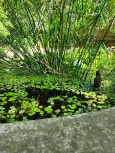 CASA EN VERTIENTES DE LA GRANJA