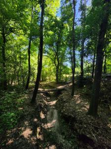 CASA EN VERTIENTES DE LA GRANJA
