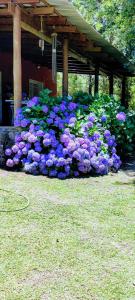 CASA EN VERTIENTES DE LA GRANJA