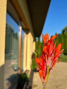 Namo-pirties nuoma Vinkšnėnuose