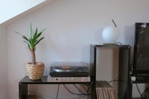 Retro Loft at OldTown : 2BR wbest views & close to all