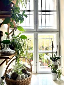 Unique, homey apartment with free parking in central Budapest