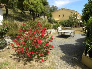 B&B / Chambres d'hotes La Bergerie : photos des chambres