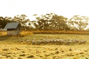 The Blacksmiths Cottage at Lisdillon Vineyard