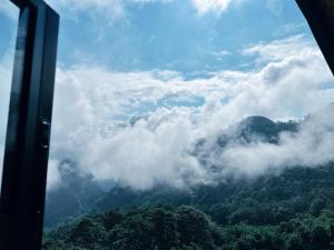 บ้านหิ่งห้อยผาหมี Baanhinghoi phamee