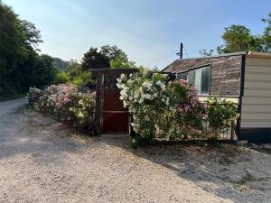 Maisons de vacances Judy : photos des chambres