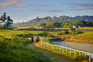 KUR-Cow farm escape 35 minutes from Cairns - Kuranda