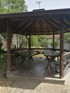 Apartman Suncokret