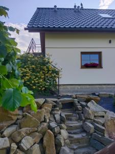 Apartament Wrzosowisko