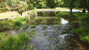Campings Camping Le Douzou : photos des chambres