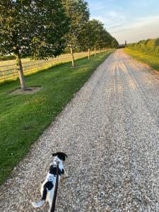 Luxury & comfort in the Cotswolds