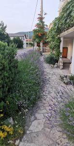 Casa Lavanda 2 - Karin Gornji