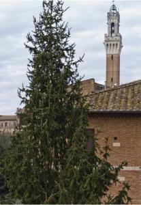 Vicolo DellOro